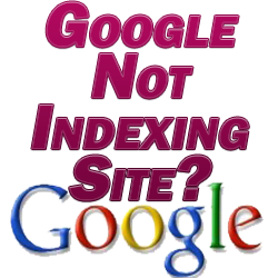 Google Not Indexing Site