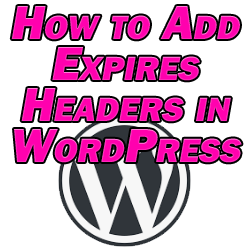 Add Expires Headers WordPress